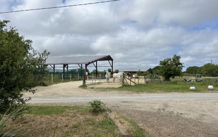 Local commercial LA CHAPELLE-LAUNAY (44260)  260 000 m2 494 400 € 