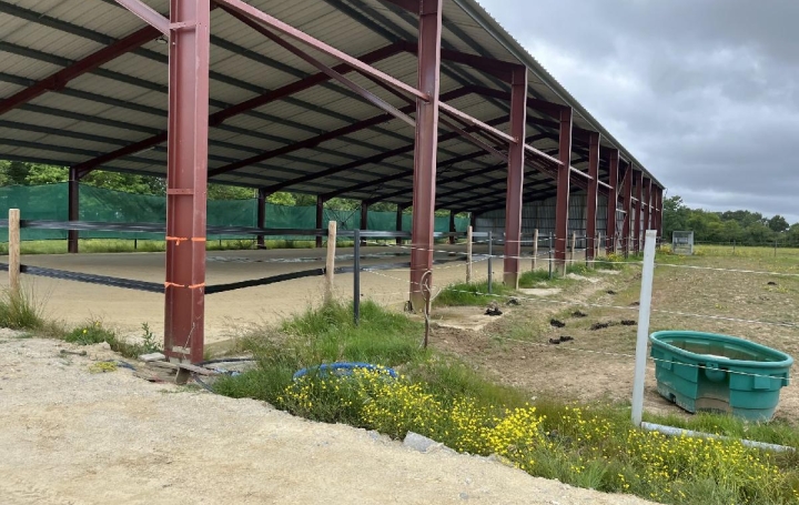 Local commercial LA CHAPELLE-LAUNAY (44260)  260 000 m2 494 400 € 