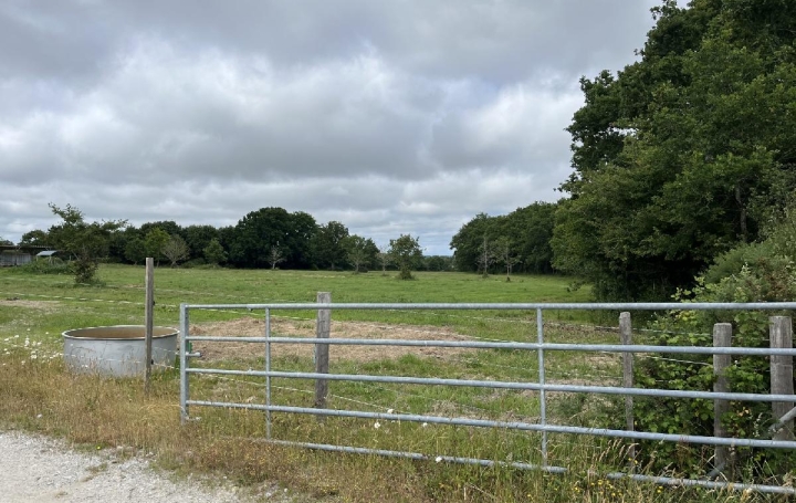 Local commercial LA CHAPELLE-LAUNAY (44260)  260 000 m2 494 400 € 