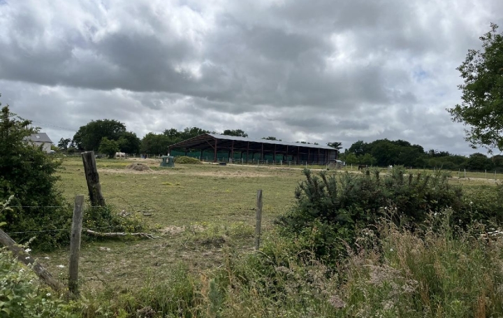 Local commercial LA CHAPELLE-LAUNAY (44260)  260 000 m2 494 400 € 