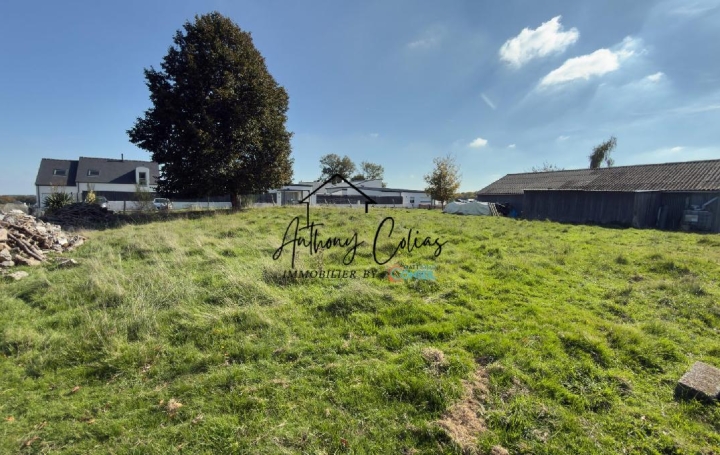 Terrain MARZAN (56130)  653 m2 83 350 € 