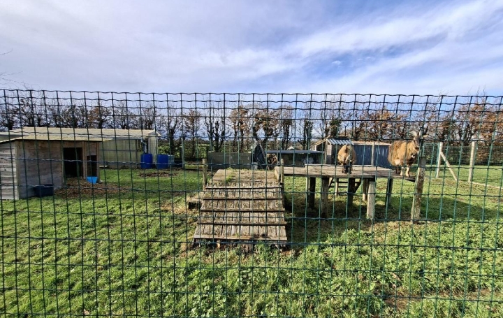 Maison SAINT-LYPHARD (44410)  144 m2 414 000 € 