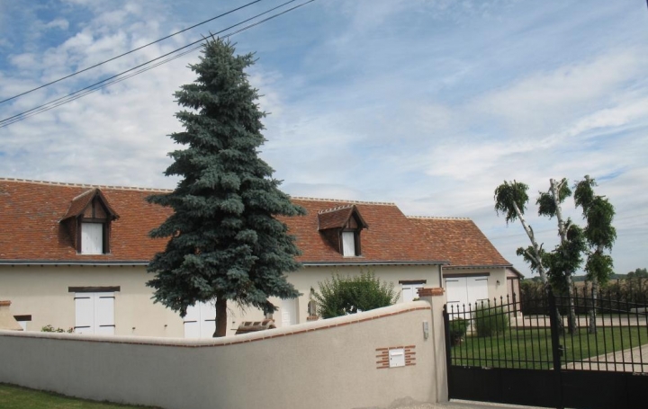 Réseau Immo-diffusion : Maison  SAINT-GOURGON  210 m2 253 800 € 