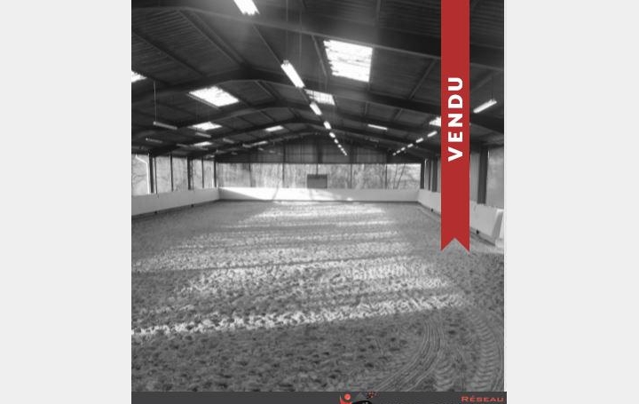 Réseau Immo-diffusion : Domaine  CHEMILLE-SUR-DEME  378 m2 726 275 € 