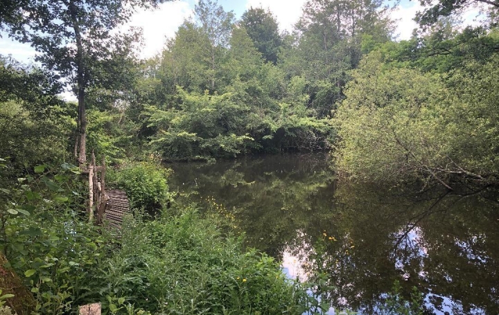 Réseau Immo-diffusion : Terrain  MAZIERES-DE-TOURAINE  2 005 m2 76 500 € 