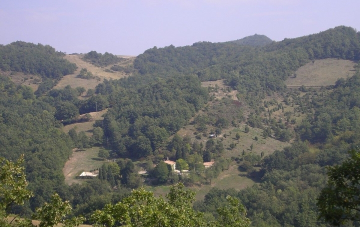 Domaine MIREPOIX (09500)  350 m2 775 000 € 