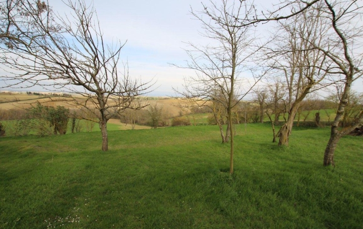 Propriété NAILLOUX (31560)  500 m2 680 000 € 