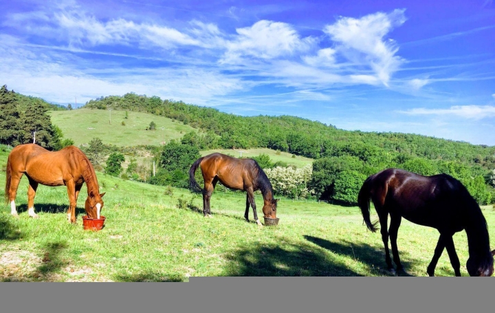 Domaine LIMOUX (11300)  305 m2 899 000 € 