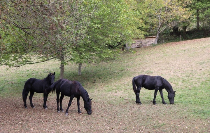 Propriété LAVELANET (09300)  600 m2 890 000 € 