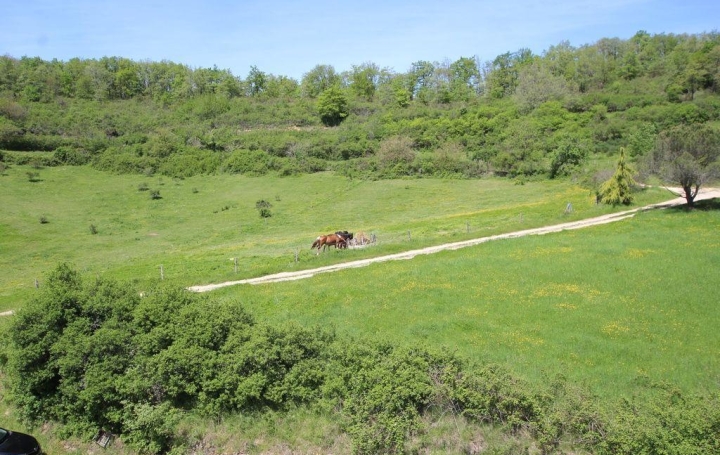 Domaine LIMOUX (11300)  750 m2 1 380 000 € 