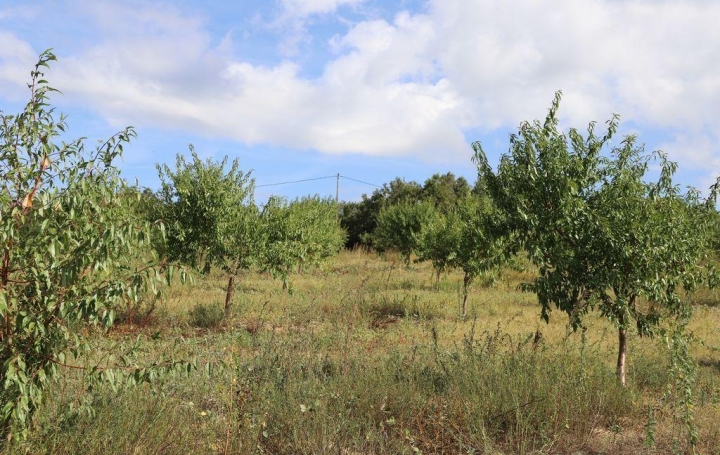 Propriété CARCASSONNE (11000)  400 m2 1 290 000 € 