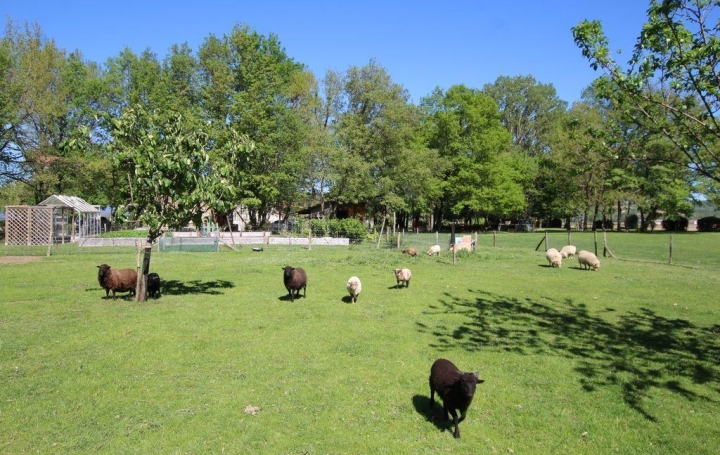 Propriété PAMIERS (09100)  365 m2 688 000 € 