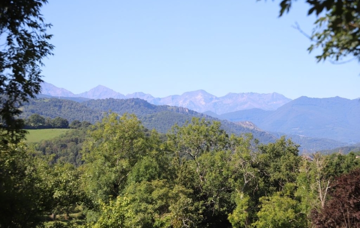 Réseau Immo-diffusion : Propriété  SAINT-GIRONS  260 m2 295 000 € 