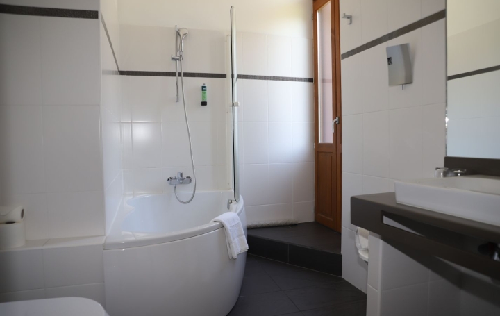 Domaine FOIX (09000)  1 000 m2 2 080 000 € 