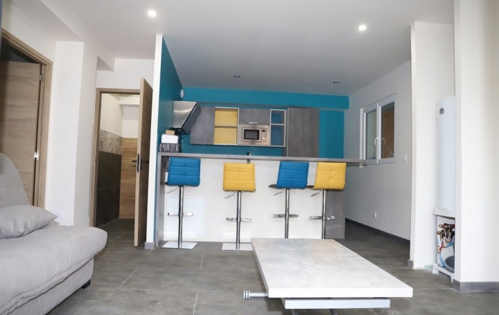 Maison FOIX (09000)  290 m2 495 000 € 