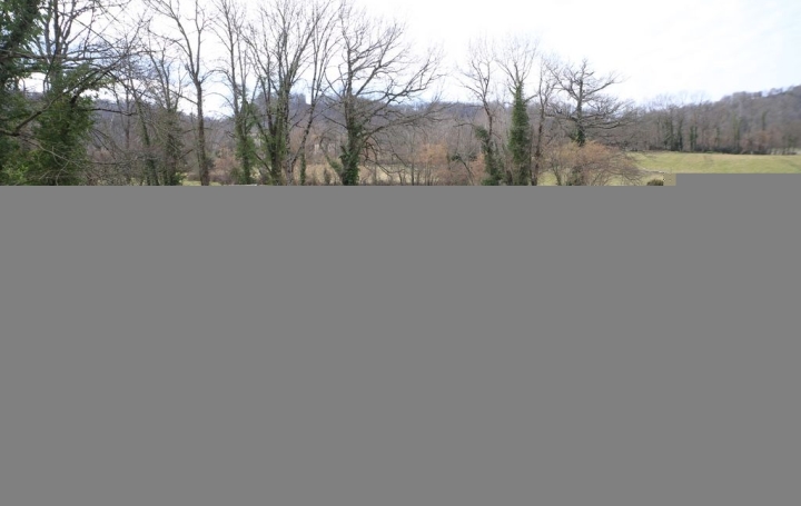 Propriété LA BASTIDE-DE-SEROU (09240)  276 m2 365 000 € 