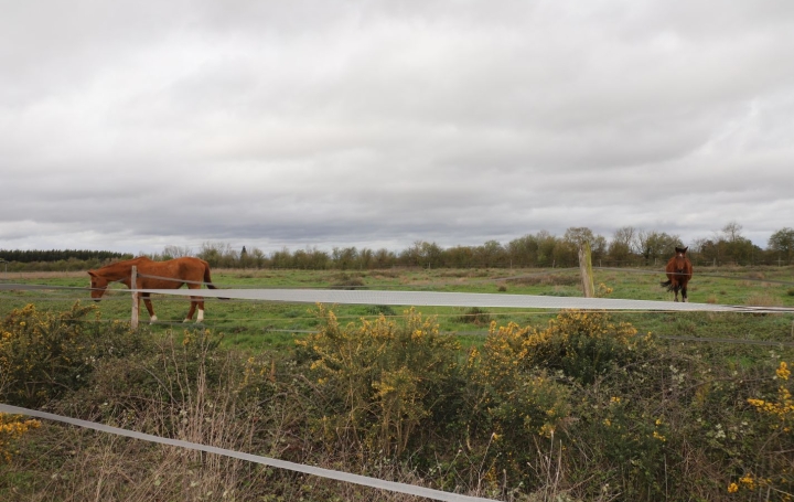 Propriété PAMIERS (09100)  415 m2 500 000 € 