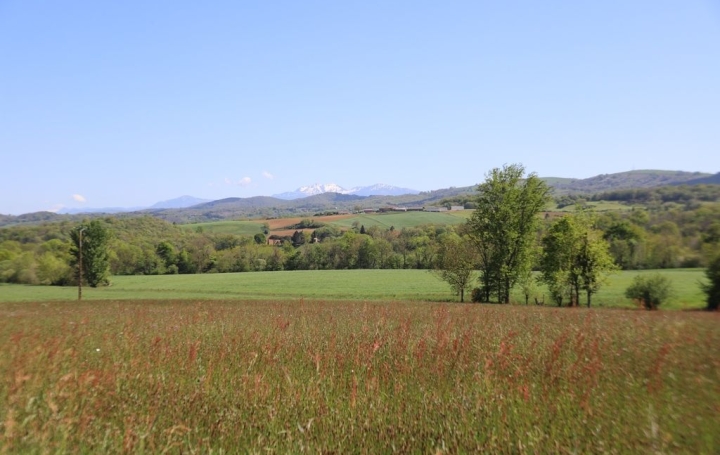 Propriété PAMIERS (09100)  214 m2 520 000 € 