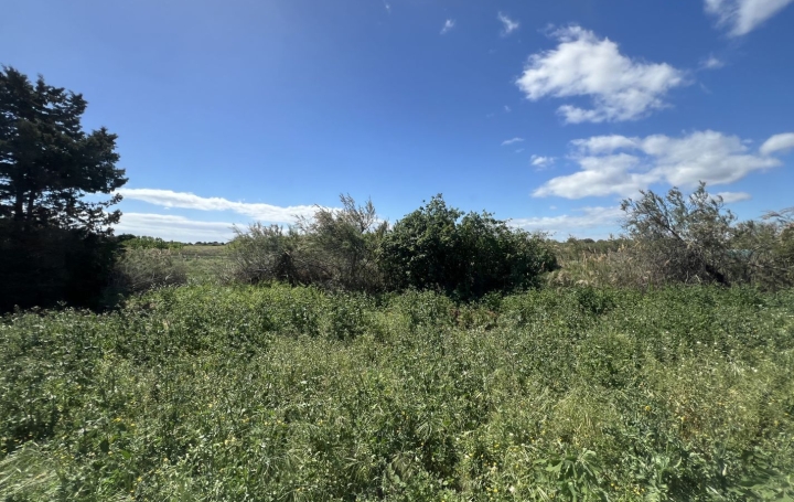 Maison MARSEILLAN (34340)  76 m2 362 000 € 