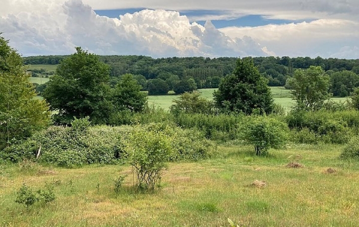 Terrain COUDRECEAU (28400)  6 495 m2 12 000 € 