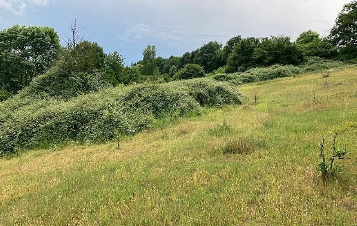 Terrain COUDRECEAU (28400)  6 495 m2 12 000 € 