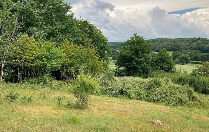 Terrain COUDRECEAU (28400)  6 495 m2 12 000 € 