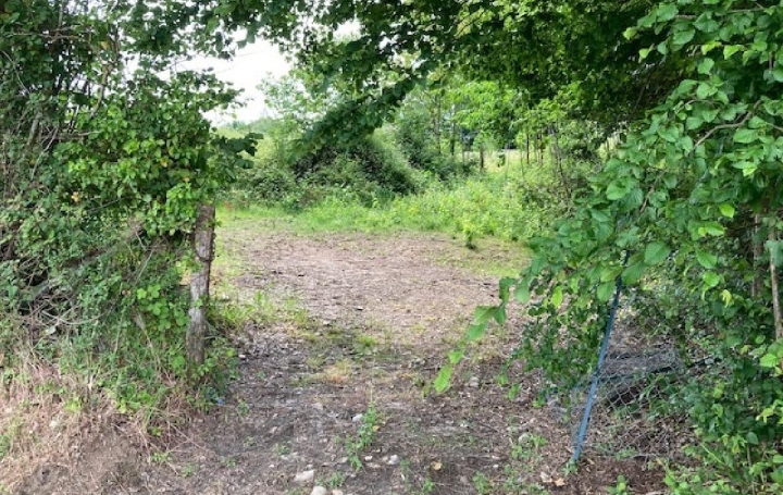 Terrain COUDRECEAU (28400)  6 495 m2 12 000 € 