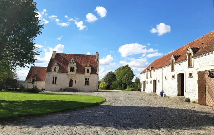 Réseau Immo-diffusion : Maison  TRIZAY-COUTRETOT-SAINT-SERGE  343 m2 840 000 € 