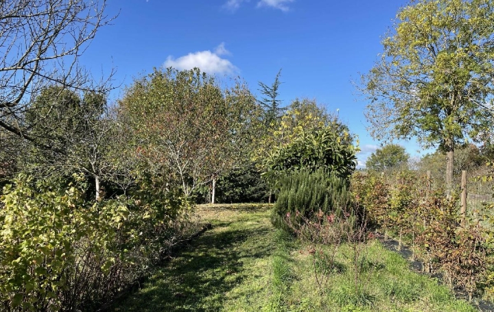 Maison NOGENT-LE-ROTROU (28400)  142 m2 160 000 € 