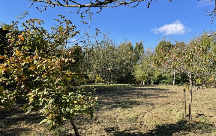 Maison NOGENT-LE-ROTROU (28400)  142 m2 160 000 € 