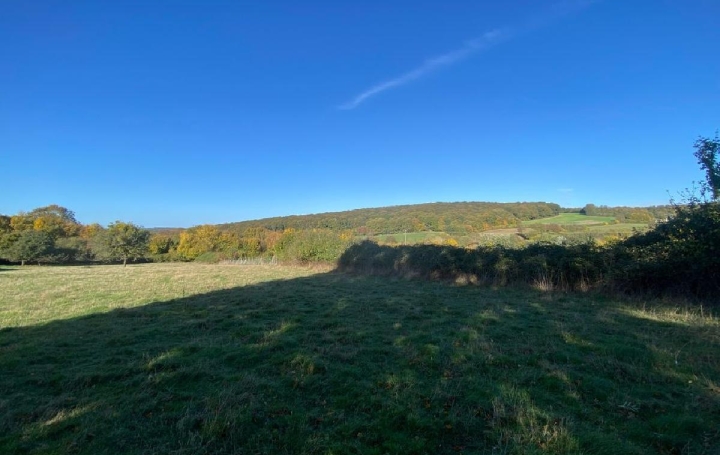 Maison CETON (61260)  139 m2 172 300 € 