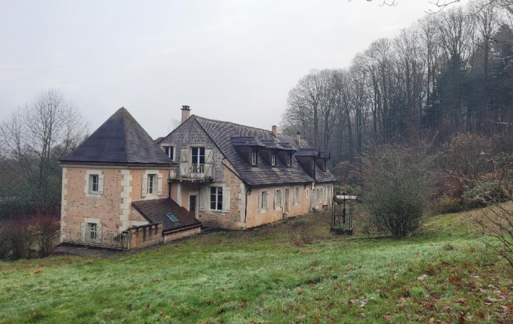 Maison AUTHON-DU-PERCHE (28330)  310 m2 464 200 € 