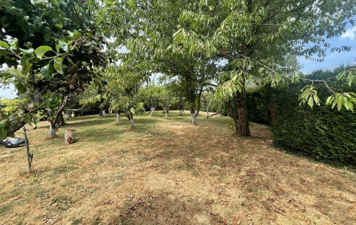 Maison LA CHAPELLE-SOUEF (61130)  196 m2 318 000 € 