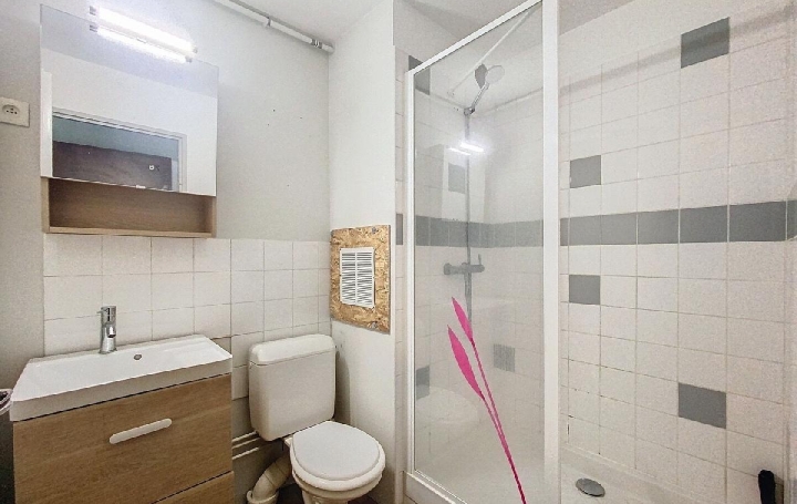 1 Pièce CHARNAY-LES-MACON (71850)  20 m2 400 € 