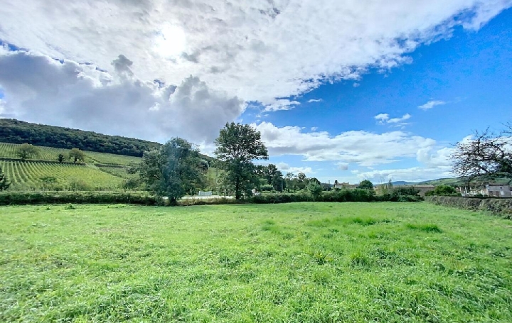 Terrain AZE (71260)  1 443 m2 54 000 € 
