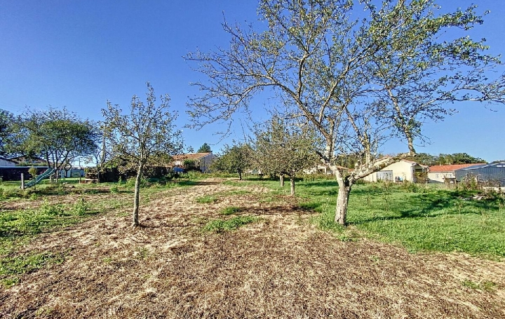 Terrain LAIZE (71870)  1 400 m2 69 500 € 