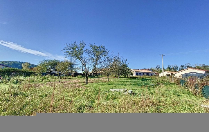 Terrain LAIZE (71870)  1 400 m2 69 500 € 