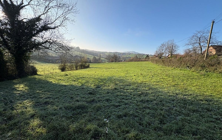 Terrain BUFFIERES (71250) 1 350 m<sup>2</sup> 45 000 € 