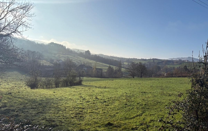 Terrain BUFFIERES (71250)  1 350 m2 45 000 € 