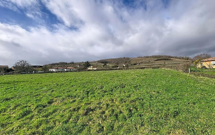 Terrain AZE (71260) 1 000 m<sup>2</sup> 90 000 € 