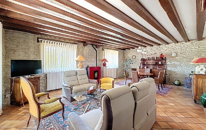 Maison SAINT-GENGOUX-DE-SCISSE (71260)  272 m2 530 000 € 