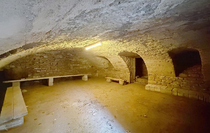 Maison CLUNY (71250)  270 m2 415 000 € 