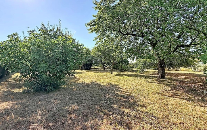 Maison SANCE (71000)  99 m2 240 000 € 