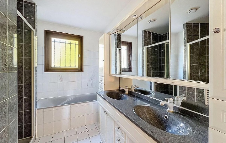 Maison CRECHES-SUR-SAONE (71680)  150 m2 289 500 € 