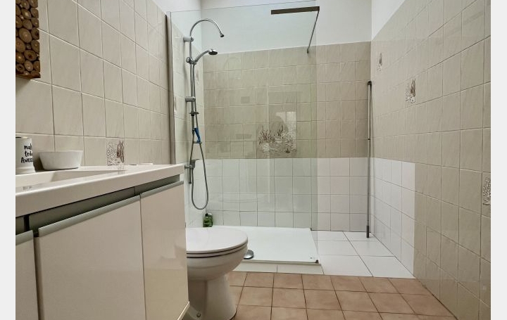 Maison BASSE-GOULAINE (44115)  210 m2 534 000 € 