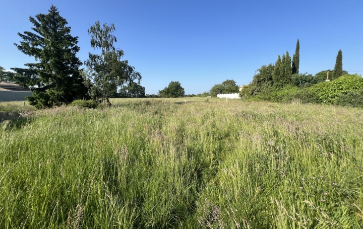 Terrain CHATEAU-THEBAUD (44690)   101 000 € 