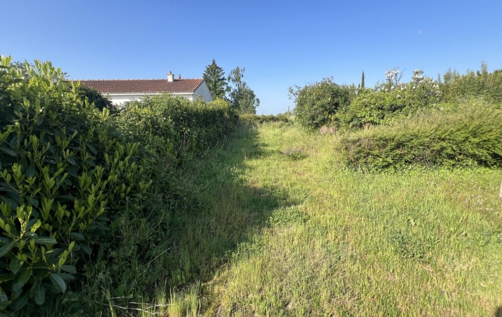Terrain CHATEAU-THEBAUD (44690)   101 000 € 