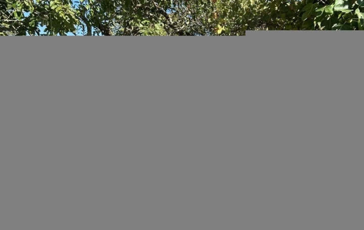 Maison SAINT-SEBASTIEN-SUR-LOIRE (44230)  150 m2 416 500 € 