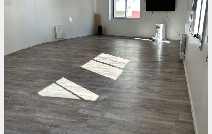 Local commercial BASSE-GOULAINE (44115)  242 m2 527 850 € 