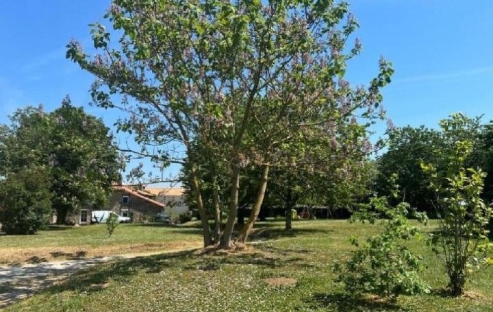 Maison NANTEUIL-EN-VALLEE (16700)  180 m2 149 950 € 